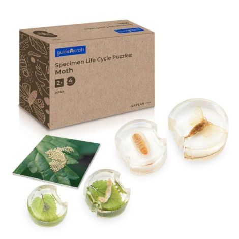 Ciclul de viata al moliei, cu piese acrilice, Guidecraft - imagine 7